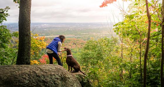 is gatineau park dog friendly